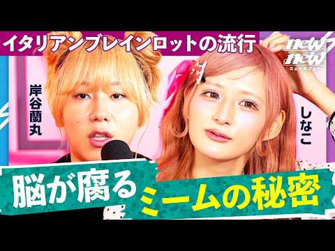 「本当に理解できない」可愛くないAIミームがα世代で超流行の理由【岸谷蘭丸×MON7A×しなこ】newZnew サムネイル