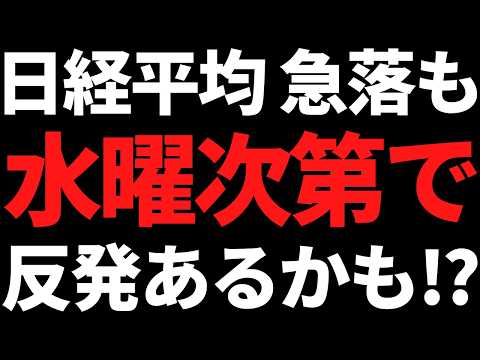 日経平均がブラマンで今年２番目の下落に！ただ、今夜と水曜次第で？ サムネイル