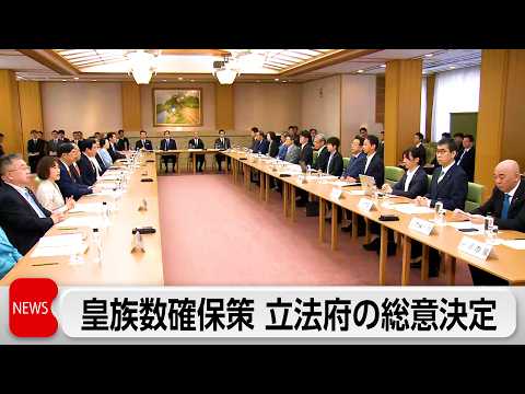 皇族数確保策「立法府の総意」を決定　衆参両院議長や各党・各会派の代表者らが集まる全体会議開催 サムネイル