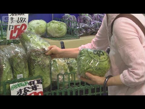 物価「悪い方向」 過去最高73％　内閣府「社会意識に関する世論調査」(2025年12月22日) サムネイル