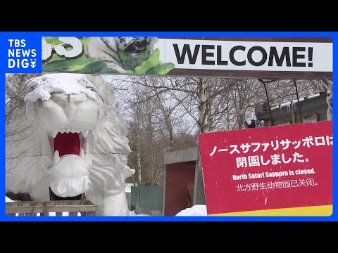 動物園ノースサファリサッポロに「除却命令」 違反の建築物は37棟　札幌市「異例の多さ」と指摘｜TBS NEWS DIG