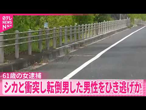 【ひき逃げなどの疑い】61歳の女を逮捕  国道で倒れていた男性死亡  群馬･渋川市 サムネイル