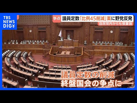 議員定数“結論得られなければ比例45削減”案に野党反発　自民党内からも慎重論「信頼関係崩すおそれ」｜TBS NEWS… サムネイル