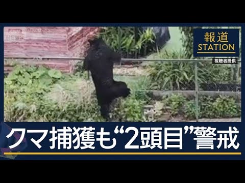 住宅街でクマ捕獲も…“もう1頭”いる可能性　住民の不安続く　宇都宮【報道ステーション】(2026年6月9日) サムネイル