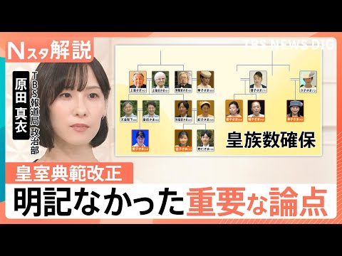 安定的な皇位継承へ皇室典範改正　大きな２つの課題と明記されなかった重要な論点【Nスタ解説】｜TBS NEWS DIG サムネイル