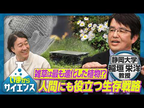 雑草は最も進化した植物！？人間にも役立つ生存戦略【いまからサイエンス】 サムネイル