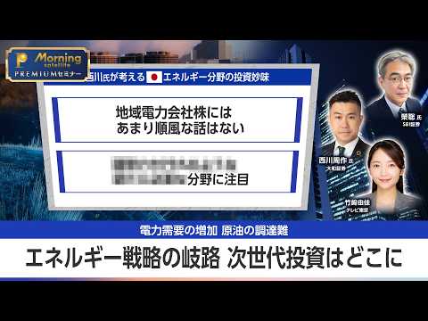 【AI投資の盲点】電力需要が激増しても電力会社は儲からない？エネルギー投資に潜む「意外なワナ」【モーサテプレミアムセミ… サムネイル
