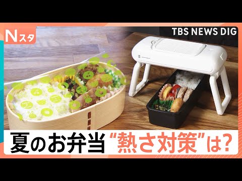 【夏の弁当作り 注意点は？】季節外れの暑さ「お弁当事情」調査、忙しい朝の粗熱対策 5分で解消【Nスタ解説】｜TBS N… サムネイル