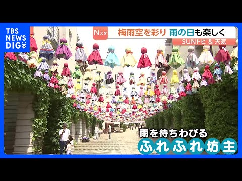 “雨を待ちわびる”およそ1500個もの「ふれふれ坊主」梅雨を楽しく　忘れ物の傘を再利用「八ヶ岳ふれふれスカイ2026」…