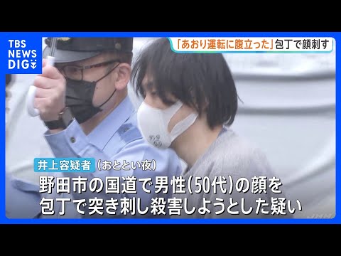 「あおり運転されて腹が立った」千葉・野田市の国道で前の車に追突して相手男性の顔を包丁で刺した疑い　44歳男を殺人未遂の… サムネイル