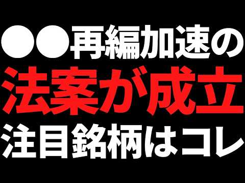 おい！国が驚愕の法案を成立させたぞ！●●株の投資戦略と注目銘柄 サムネイル