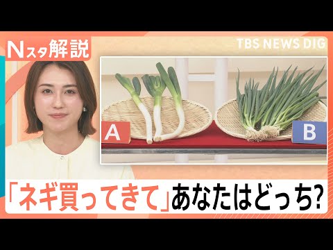 「ネギ買ってきて」あなたは白・青どっち？ 出荷量アップ！冬よりお手頃「2～3割安い」【Nスタ解説】｜TBS NEWS… サムネイル