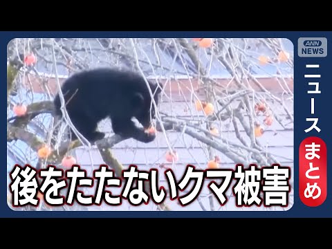 【クマ被害】年の瀬も後を絶たないクマ被害 “異例の暖かさ”クマの活動に影響は【ニュースまとめ】(2025年12月16日… サムネイル
