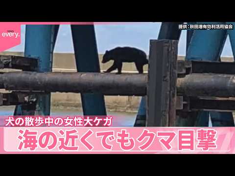 【クマ】海に近い地域でも目撃相次ぐ…女性大ケガも  専門家｢河川沿いが大きなポイント」 サムネイル