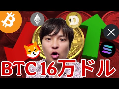 ビットコイン2026年16万ドル(2,400万円)！二極化する仮想通貨 サムネイル