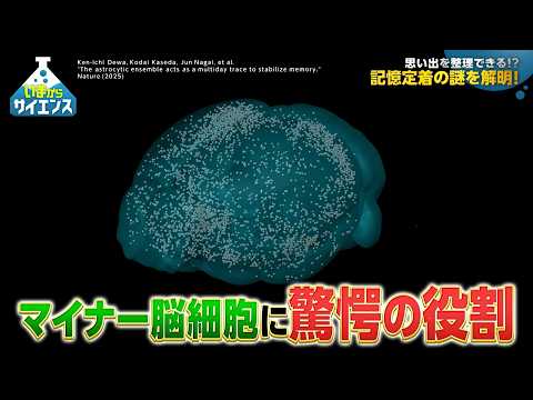 記憶の定着に関するメカニズムを解明！最新脳細胞研究 長井淳（理化学研究所 脳神経科学研究センター・チームディレクター）… サムネイル