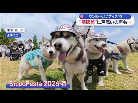 ワンちゃんは“アイス”を…“寒暖差”に戸惑いの声も【スーパーJチャンネル】(2026年5月24日)