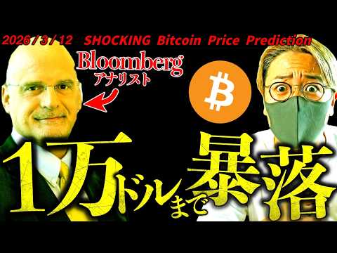 Bloomberg衝撃予想。『ビットコインは1万ドルまで暴落する』の根拠とは？最新ドル建てチャート分析！【SHOCKI… サムネイル