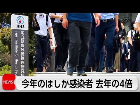 はしか感染者数が累計が479人　去年の4倍　過去10年で最多に迫る勢い サムネイル