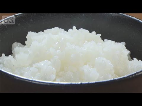 1月のコメ業者間取引数量 過去3番目の少なさ　相対取引価格3カ月連続下落も依然高水準(2026年2月17日) サムネイル