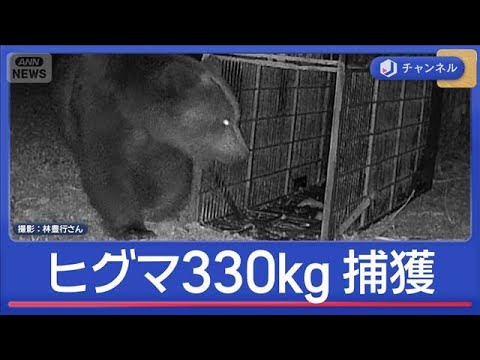目撃数が“4月最多”観光地もクマ対策続々【スーパーJチャンネル】(2026年4月28日) サムネイル