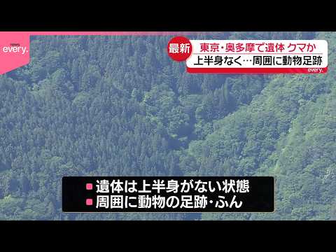 【山中に上半身ない遺体】クマに襲われた可能性も  東京・奥多摩町 サムネイル