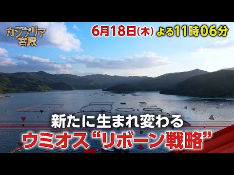 カンブリア宮殿【新たに生まれ変わる　ウミオス“リボーン戦略”】予告 サムネイル