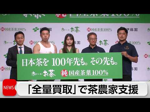 伊藤園　栽培した茶葉の「全量買取」を発表　生産体制の構築や安定した供給に繋げたい考え サムネイル