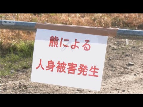 クマ被害か 岩手で男性遺体発見　宮城では女性が追い払おうと骨折(2026年5月21日) サムネイル