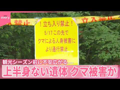 【クマ被害か】奥多摩で上半身ない遺体  2日前には男性が襲われ重傷…不安広がる サムネイル
