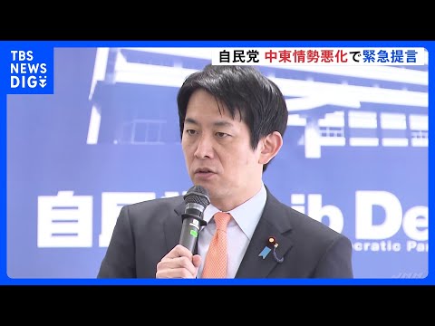 中東情勢の悪化うけ自民党が緊急提言まとめる　原油・食料の輸送へ「政府再保険の仕組み検討を」｜TBS NEWS DIG サムネイル