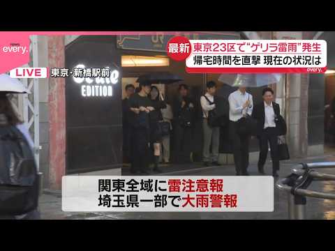 【中継】東京23区で“ゲリラ雷雨”帰宅時間を直撃 サムネイル