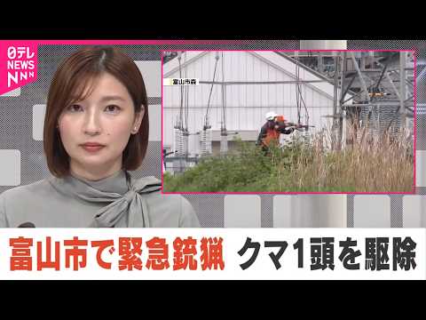 【クマ1頭を駆除】富山市住宅街で緊急銃猟  付近で昨夜  女性が襲われ大けが サムネイル