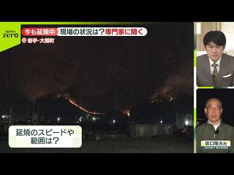 岩手・大槌町で山林火災　延焼中…専門家に聞く現地状況_4/23 サムネイル
