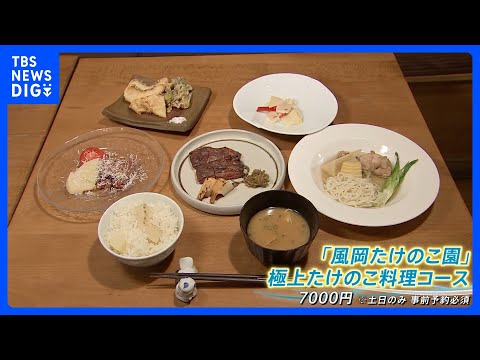 タケノコ豊作でお得に！キャンプ場は無料で掘り放題 絶品！タケノコ料理｜TBS NEWS DIG