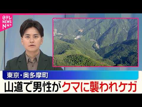 【「クマに襲われケガをした」】ロシア人男性重傷  東京・奥多摩町 サムネイル