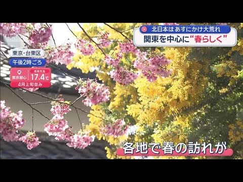 関東を中心に“春らしく”　北日本はあすにかけ大荒れ【スーパーJチャンネル】(2026年3月7日) サムネイル