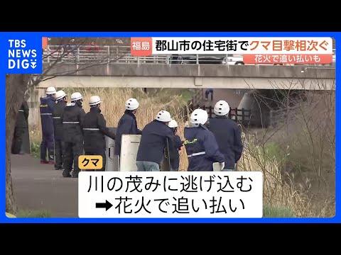 「イヌかと思ったら…」住宅街にクマ出没 花火使って追い払い　福島・郡山市で目撃相次ぐ｜TBS NEWS DIG