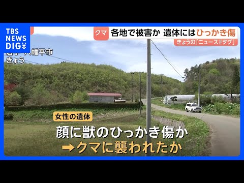 各地でクマ出没 岩手で女性遺体 クマに襲われたか 遺体に“ひっかき傷”　山形では男性が体長約1mのクマに襲われる　顔や… サムネイル