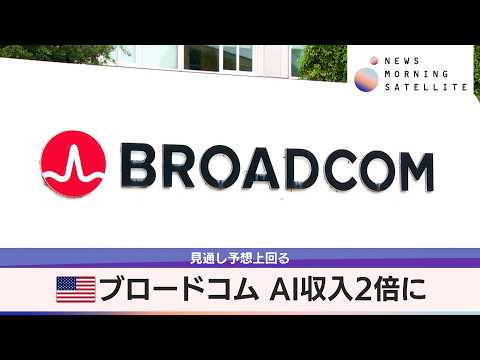 米ブロードコム AI収入2倍に　見通し予想上回る【モーサテ】 サムネイル