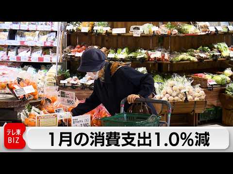 1月の消費支出1.0％減　2カ月連続でマイナス サムネイル