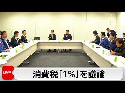 消費税減税 6月中に中間とりまとめ　自民1％で早期実施求める声 サムネイル