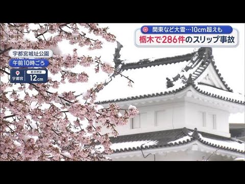 関東など大雪…10cm超えも　栃木で286件のスリップ事故　都心は真冬の寒さに【スーパーJチャンネル】(2026年3月… サムネイル