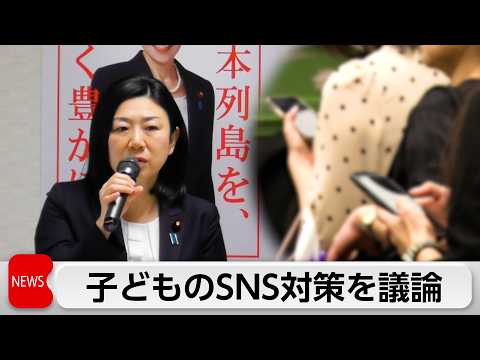 自民党　子どものインターネット環境整備のため大手SNS事業者にヒアリング サムネイル