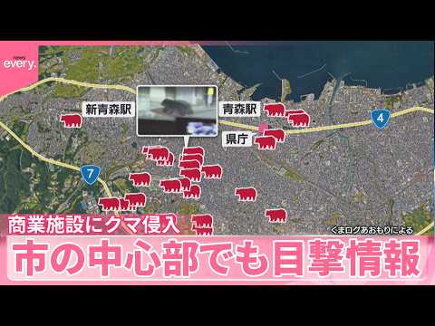 【商業施設にクマ侵入】建物の上の人が警察官とやりとりも…現場周辺には規制線  青森市