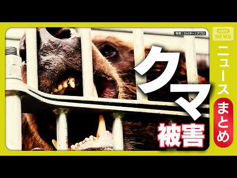 【クマ】“春に異例の300kg超クマ”高齢者施設にもクマ“緊迫一部始終”／目撃数が“4月最多”観光地もクマ対策続々／な… サムネイル