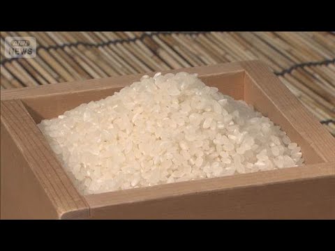 2025年の消費者物価指数　前年比3.1％上昇　2％超は4年連続　コメ高騰が影響【知っておきたい！】【グッド！モーニン… サムネイル