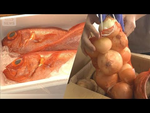 GW最終盤　朝市の一般開放に買い物客殺到　格安鮮魚に野菜詰め放題、家計の助けに【もっと知りたい！】【グッド！モーニング… サムネイル
