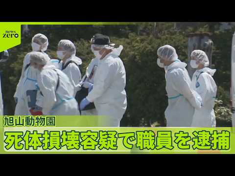【死体損壊容疑で逮捕】旭山動物園の職員を  レッサーパンダやカバ担当 サムネイル