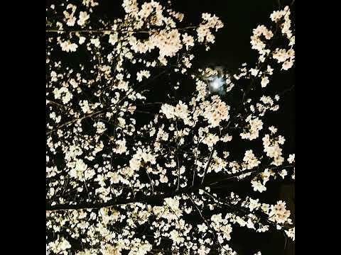 705 ビビデバビデ妄想DJ